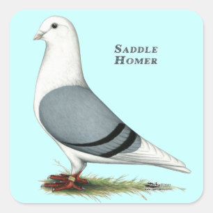 Homer Blue Saddle Vierkante Sticker