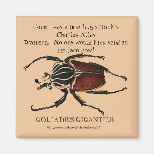 "Homer, de Goliath Beetle" Magneet