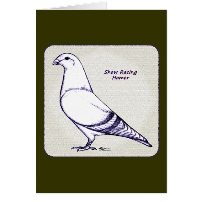 Homer Design (Devant)