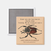 "Homer, het Goliath Beetle" Magneet (Voorkant / Achterkant)