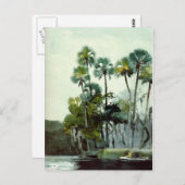 Homer - Homosassa Briefkaart (Voorkant / Achterkant)