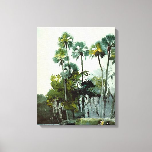 Homer - Homosassa Canvas Afdruk (Voorkant)