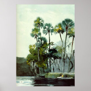 Homer - Homosassa Poster