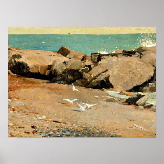 Homer - Rocky Coast and Gulls, fijne kunst Poster (Voorkant)