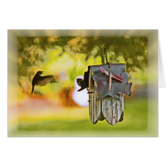 Homeward Bound (Devant horizontal)