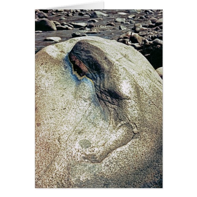 Hommage aux femmes andines/à carte se pliante (Devant)