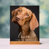 Hommage commémoratif aux animaux de compagnie (Neutre)