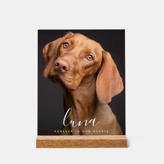 Hommage commémoratif aux animaux de compagnie (Recto)