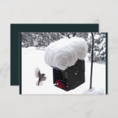 Homme de service, Facteur, UPS, FedEx, Carte de po (Devant / Derrière)