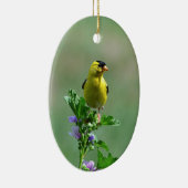 Homme Goldfinch Ornement (Droite)