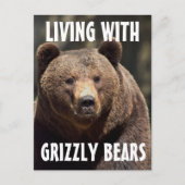 HOMME GRIZZLY VIVANT AVEC DES OURS CARTES POSTALES (Devant)