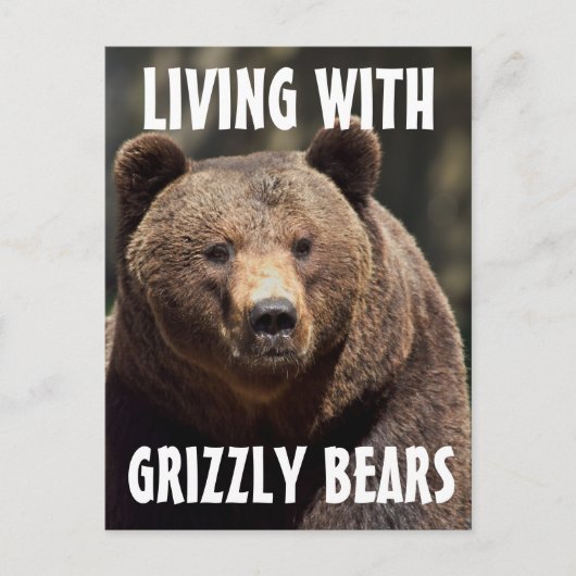 HOMME GRIZZLY VIVANT AVEC DES OURS CARTES POSTALES (Devant)
