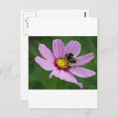 hommel briefkaart (Voorkant / Achterkant)