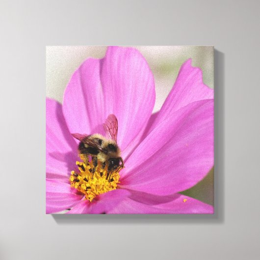 Hommel en kosmos canvas afdruk (Voorkant)