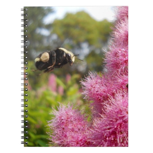 hommel notitieboek (Voorkant)