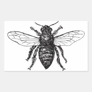 Hommelaar Zwarte Hommels Rechthoekige Sticker