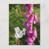 Hommels Briefkaart (Voorkant)