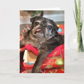 Hommels geen kerstkaart feestdagen kaart (Voorkant)