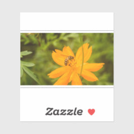 Hommeltje op een gele cosmos sticker