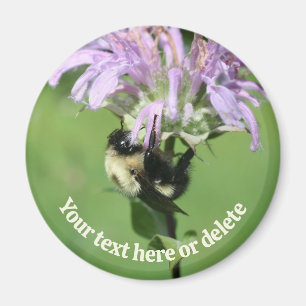 Hommeltje Op Monarda Bloem Persoonlijk Magneet