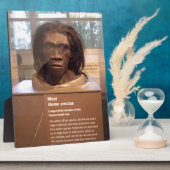 Homo erectus; museumtentoonstelling fotoplaat (Zijkant)