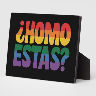 Homo Estas Grappig Spaans Mexicaanse Gay Ally LGBT Fotoplaat