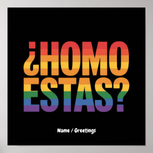 Homo Estas Spaanse Mexicaanse Grappige Gay Pride M Poster
