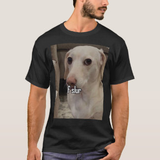 homofobe hond van de sluier! Klassieke T-Shirt