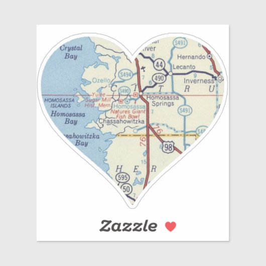 Homosassa Springs kaart Sticker (Vel)