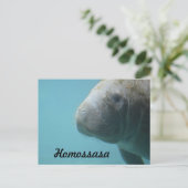 Homossasa Springs Briefkaart (Staand voorkant)