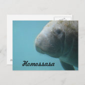 Homossasa Springs Briefkaart (Voorkant / Achterkant)