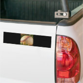 Honbal Bumpersticker (Op Truck)
