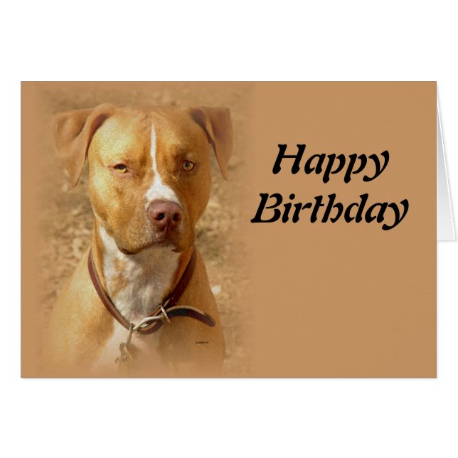 hond (Voorkant Horizontaal)