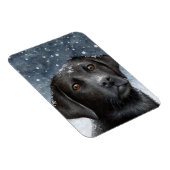Hond 100 zwart Labrador Fotomagneet Magneet (Rechterzijde)
