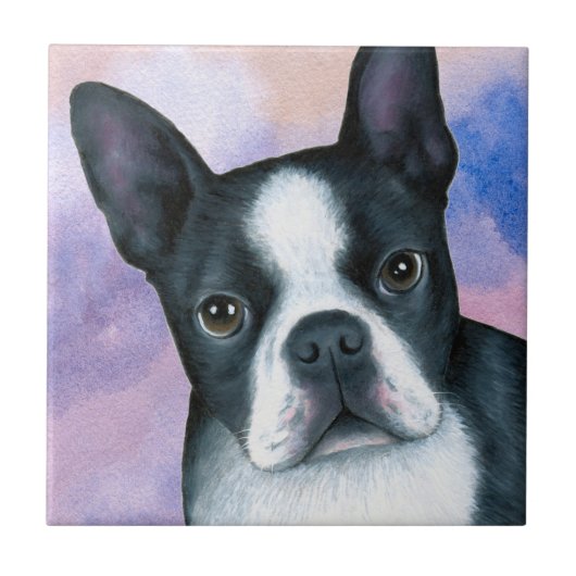 hond 128 color Boston Terrier Tegeltje (Voorkant)