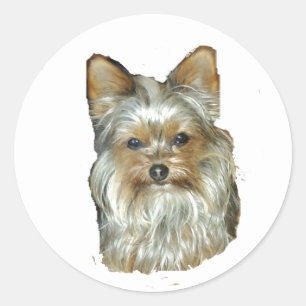 Hond 4B, Yorkshire Terrier, Stickers