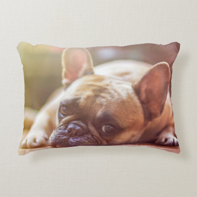 hond accent kussen (Voorkant)