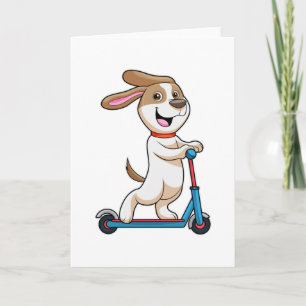 Hond als motorrijder met scooter kaart