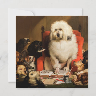 Hond als rechter De wet neerleggen in de rechtbank Kaart