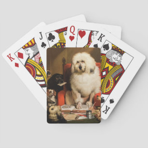 Hond als rechter De wet neerleggen in de rechtbank Pokerkaarten