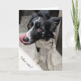 Hond at taart Verjaardag Kaart