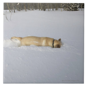 Hond begraven in sneeuw tegeltje