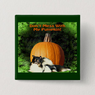 Hond Beschermt Grote Pompoen Halloween Vierkante Button 5,1 Cm
