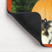 Hond beschermt grote pompoen muismat (Hoek)