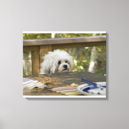 Hond bij picknicktafel canvas afdruk (Voorkant)