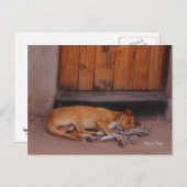 Hond bij Rest briefkaart (Voorkant / Achterkant)