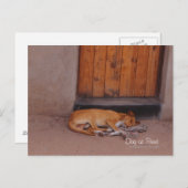 Hond bij Rest Briefkaart (Voorkant / Achterkant)