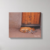 Hond bij Rest Canvas Afdruk (Voorkant)