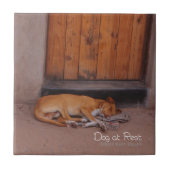 Hond bij Rest Tegeltje (Voorkant)