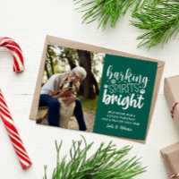 HOND BLAFFEN GEEST HELDER HUISDIER GROEN KERST